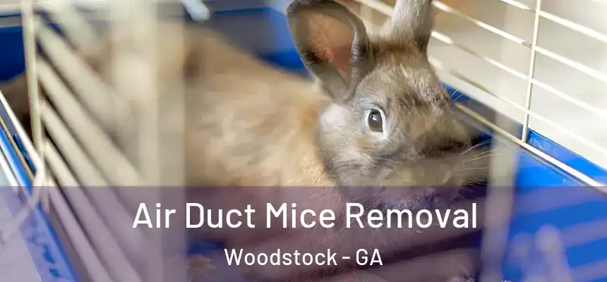 Air Duct Mice Removal Woodstock - GA