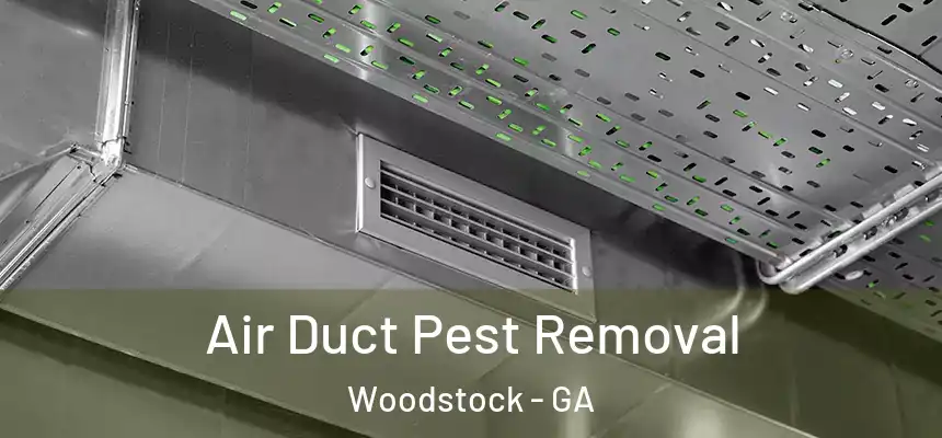 Air Duct Pest Removal Woodstock - GA