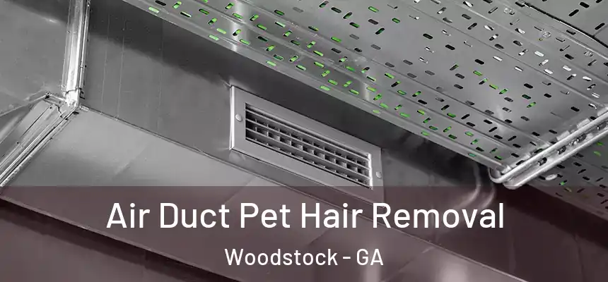 Air Duct Pet Hair Removal Woodstock - GA