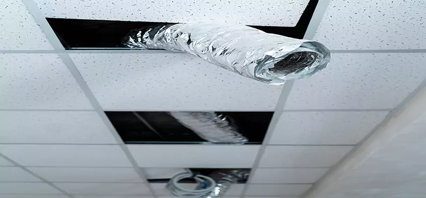 Our Air Duct Pet Hair Removal Services in Woodstock, GA