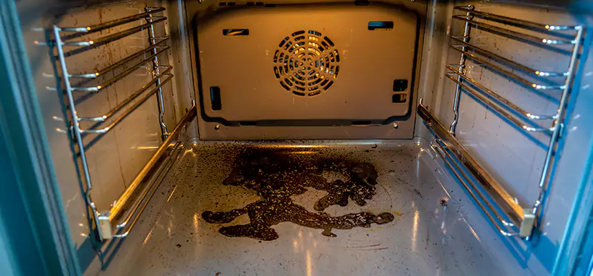 Our Dryer Vent Mold Cleaning Services in Woodstock, GA