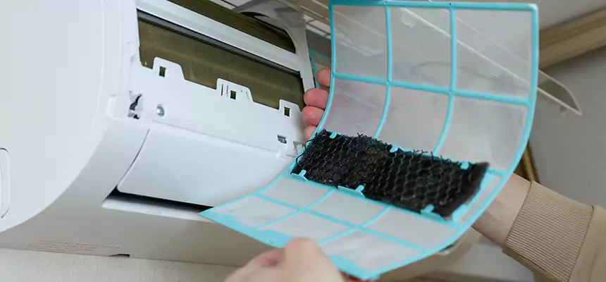 Gentle Ductwork Odor-Control Pet Dander Duct Cleaning in Woodstock, GA