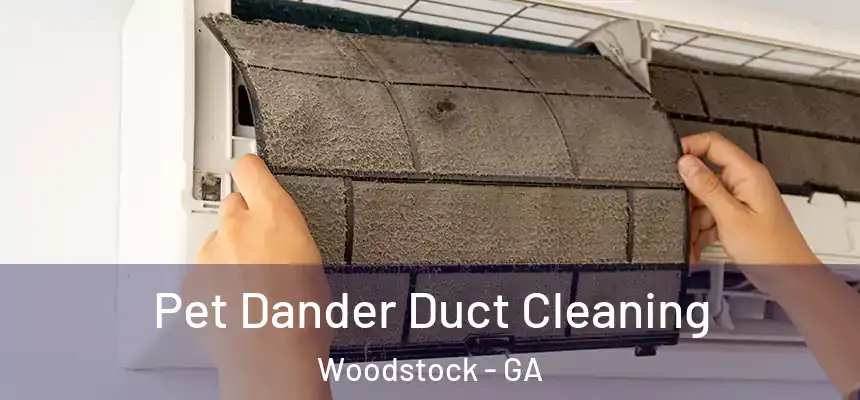 Pet Dander Duct Cleaning Woodstock - GA