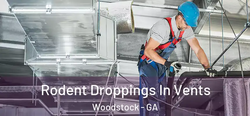  Rodent Droppings In Vents Woodstock - GA