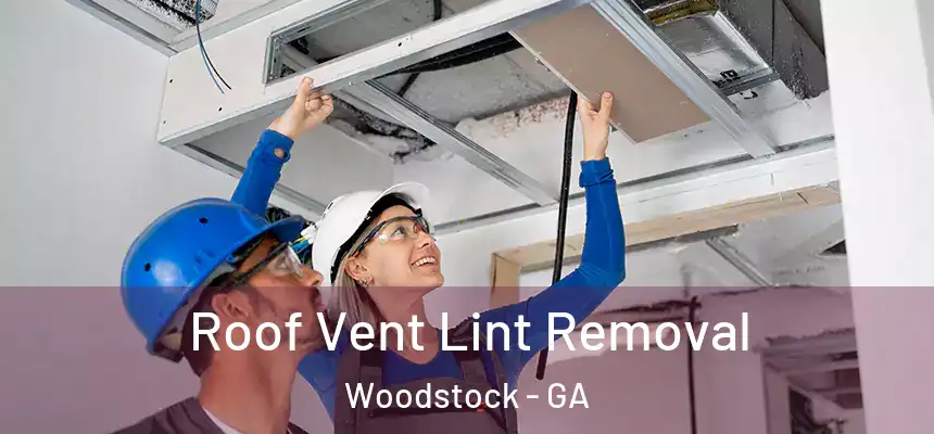 Roof Vent Lint Removal Woodstock - GA