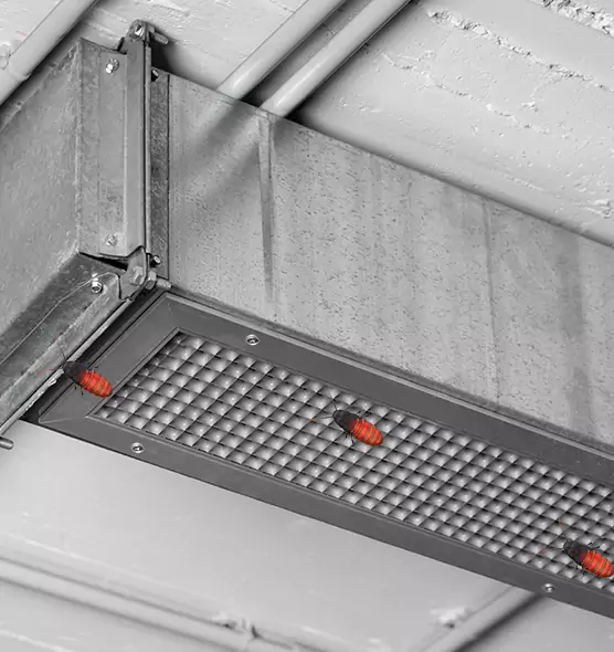About Air Duct Cockroach Removal in Woodstock, GA