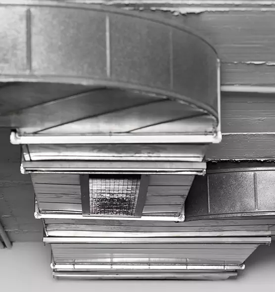 Professional Air Duct Pet Hair Removal in Woodstock, GA