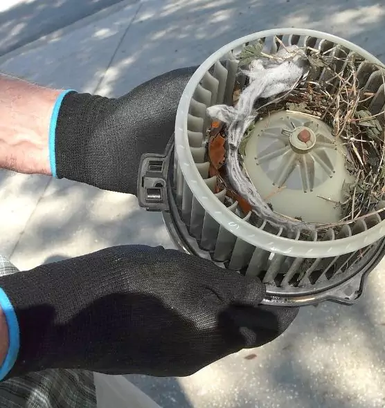 About Air Duct Rat Removal in Woodstock, GA